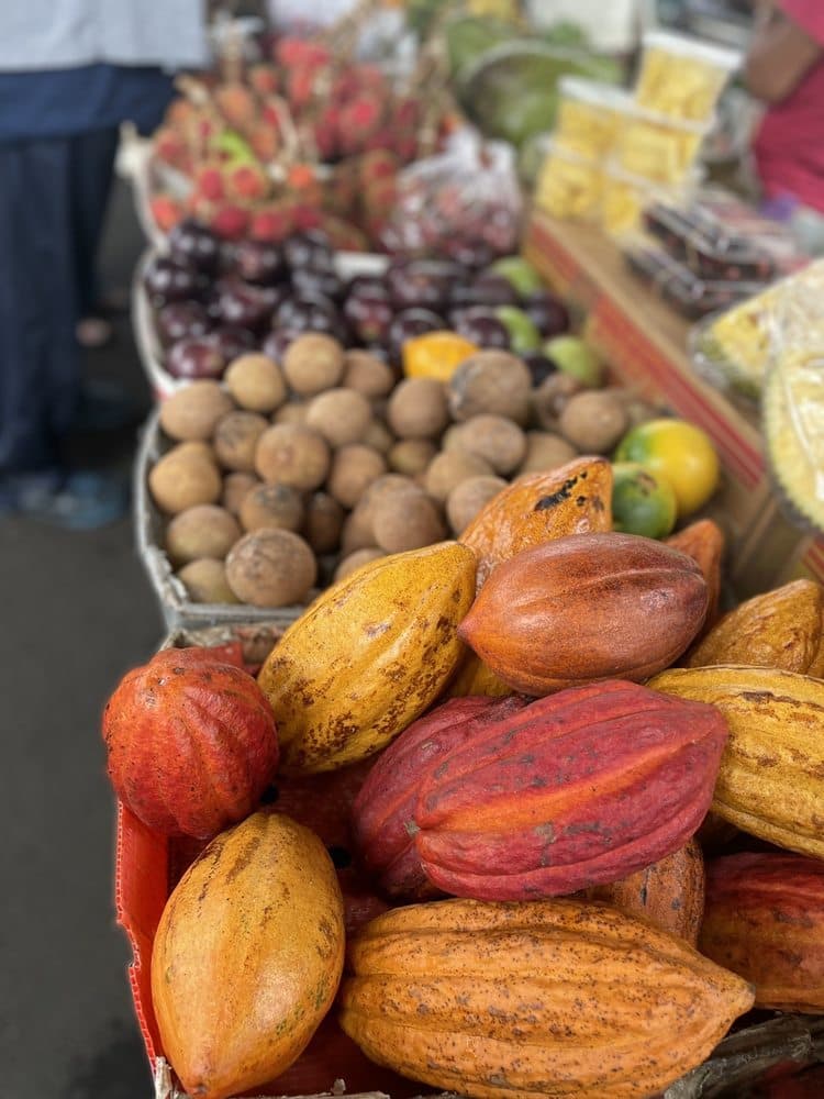 Cacao at Hilo Farmers Market