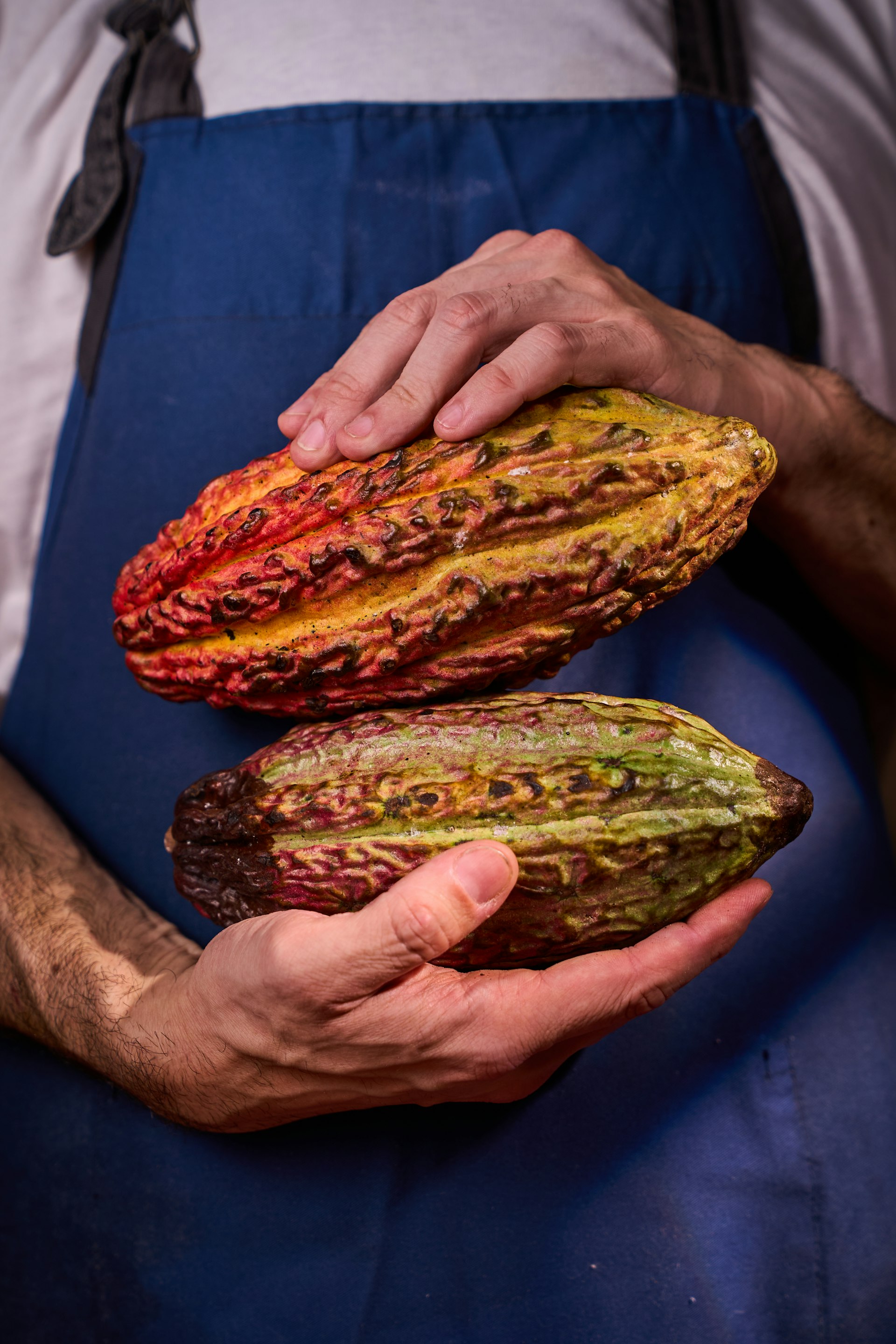 Chef holding two colorful cocoa pods
