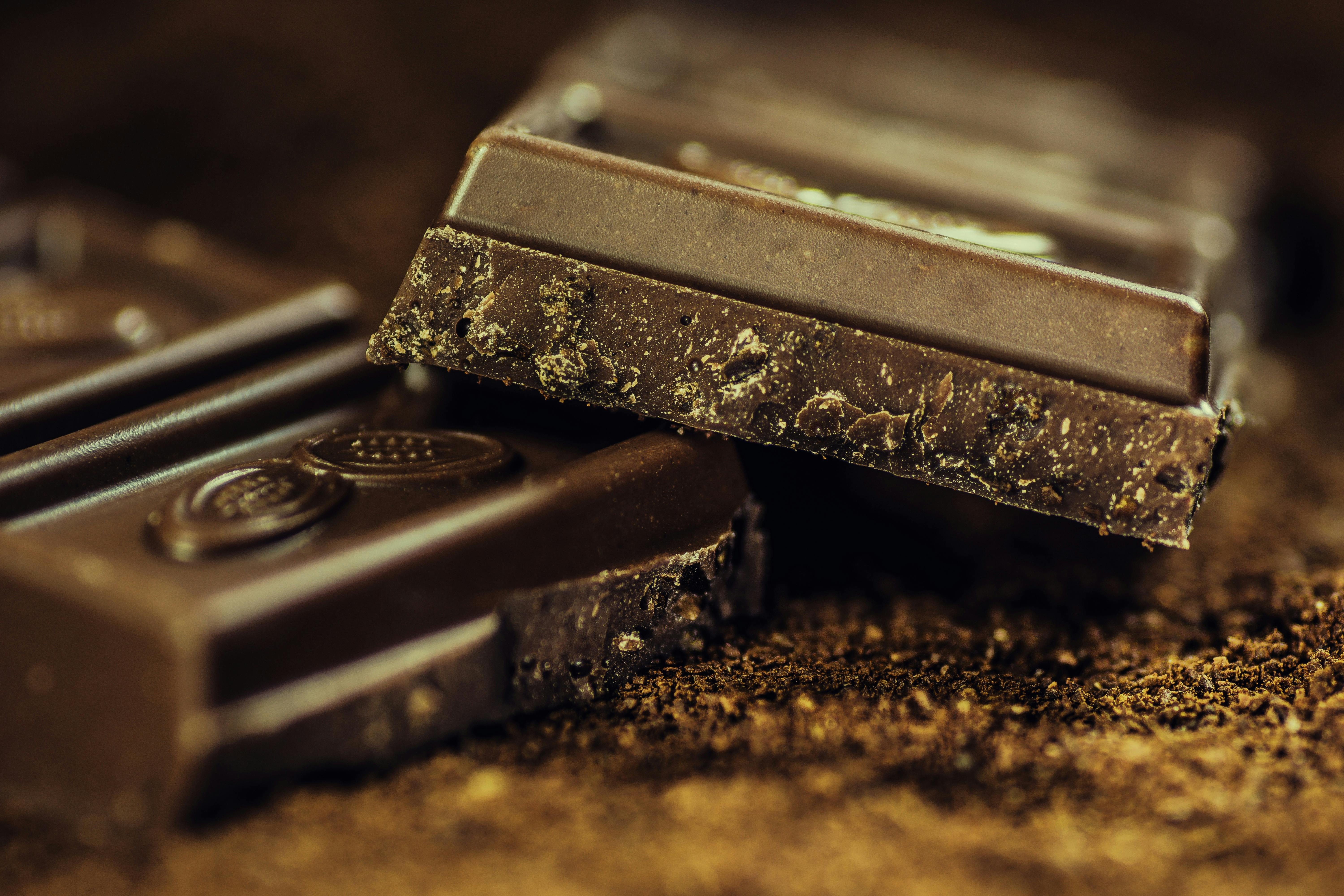 Dark single-origin chocolate bars with cocoa powder, set up for a tasting